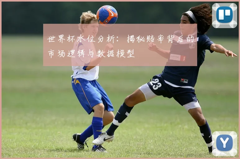 世界杯水位分析：揭秘赔率背后的市场逻辑与数据模型