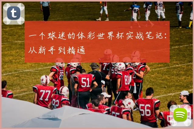 一个球迷的体彩世界杯实战笔记:从新手到精通