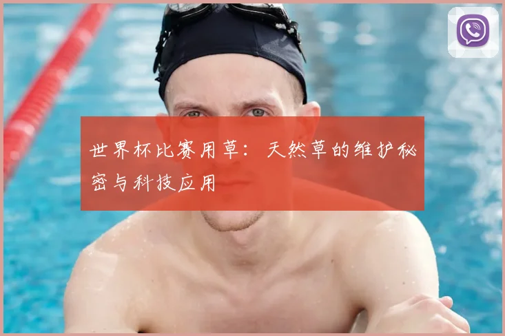 世界杯比赛用草：天然草的维护秘密与科技应用