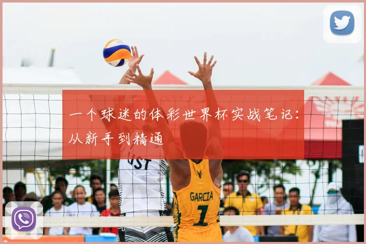 一个球迷的体彩世界杯实战笔记:从新手到精通