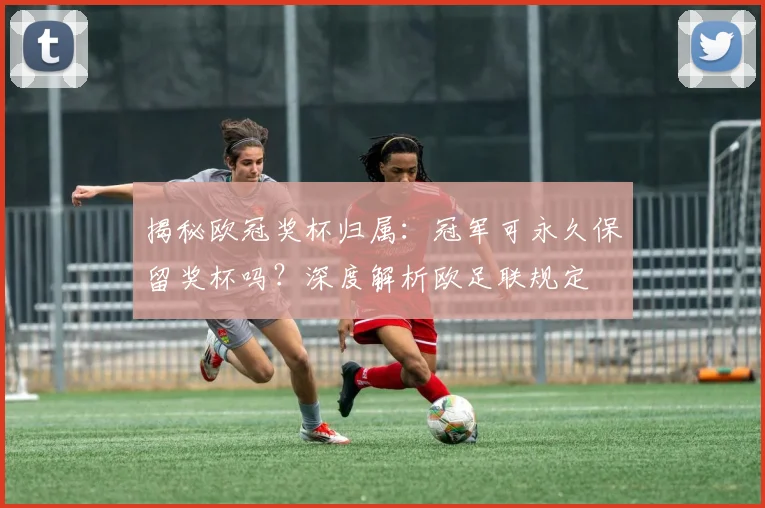 揭秘欧冠奖杯归属：冠军可永久保留奖杯吗？深度解析欧足联规定