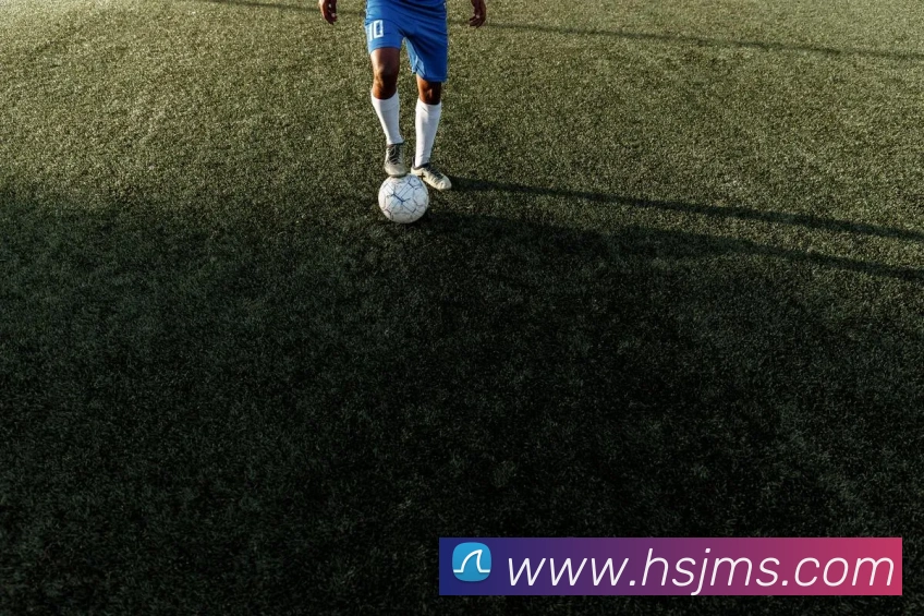 环球体育登录平台网站平台生态图